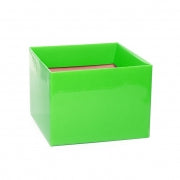 Posy Boxes Lime Green