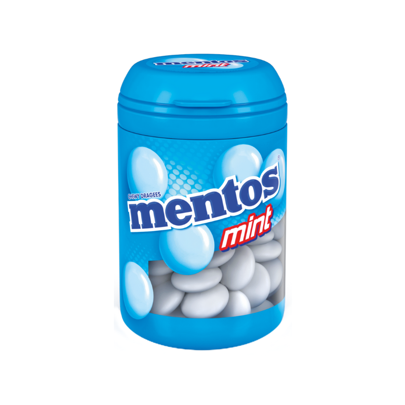 Mentos Bottle Mint 100g